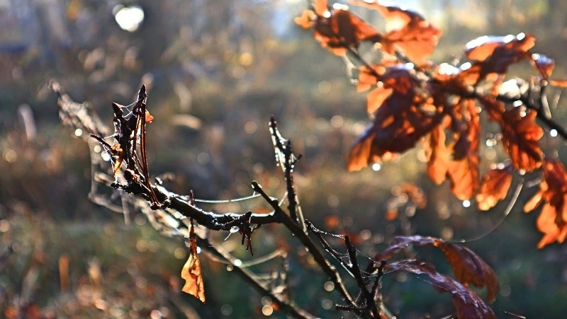 Народные приметы на 4 ноября 2024: что нельзя делать в этот день