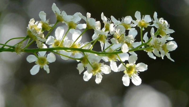 Епифанов день: что можно и нельзя делать 25 мая 2024 года