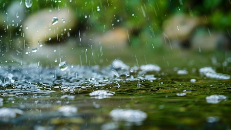 Дождь и порывистый ветер ожидаются в Сахалинской области 19 июля