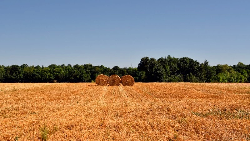 Церковный праздник 15 сентября 2023 года: приметы, что нельзя делать в этот день