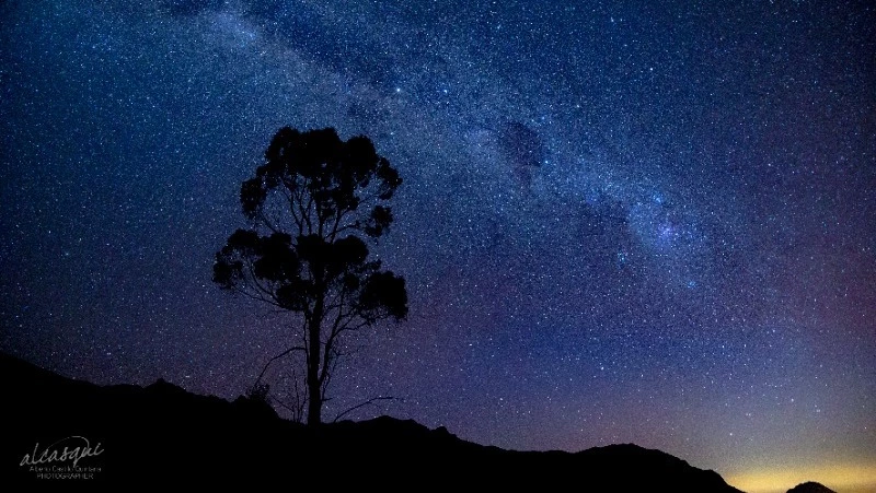 Гороскоп на 30 января 2024 года: важные советы астрологов