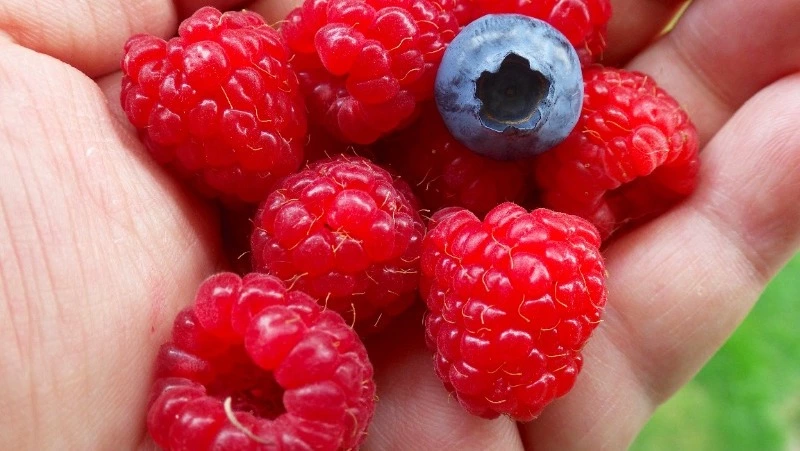 Народные приметы на 14 июля 2024: что нельзя делать в этот день