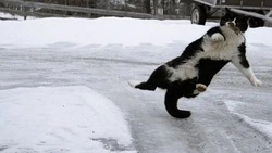 Осторожно - гололёд!