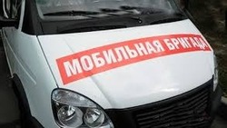 Мобильная медицинская бригада приедет в Южно-Курильск в феврале