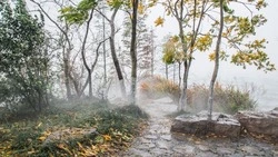 Умеренный дождь и +20 градусов: погода на Сахалине и Курилах 26 сентября