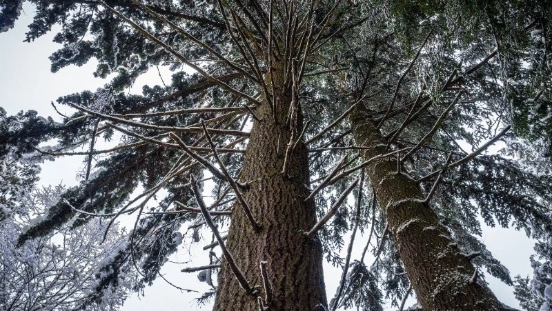 Народные приметы на 22 января: что нельзя делать в этот день