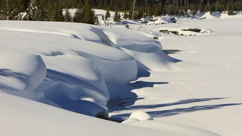 Народные приметы на 16 января: что нельзя делать в этот день