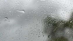 Синоптики рассказали о погоде на Сахалине и Курилах 10 июля