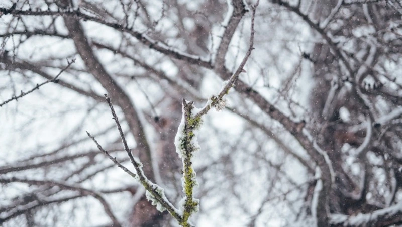 Церковный праздник 29 января 2024 года: что можно и нельзя делать в этот день