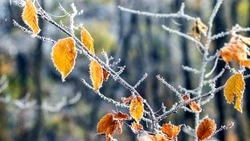 Прогноз погоды в Сахалинской области на 12 октября 2023 года