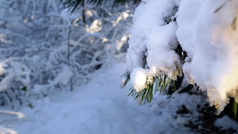 Церковный праздник 17 февраля 2025: что нельзя делать на Николу Студеного