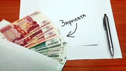 Что делать, если работодатель не выплачивает заработную плату