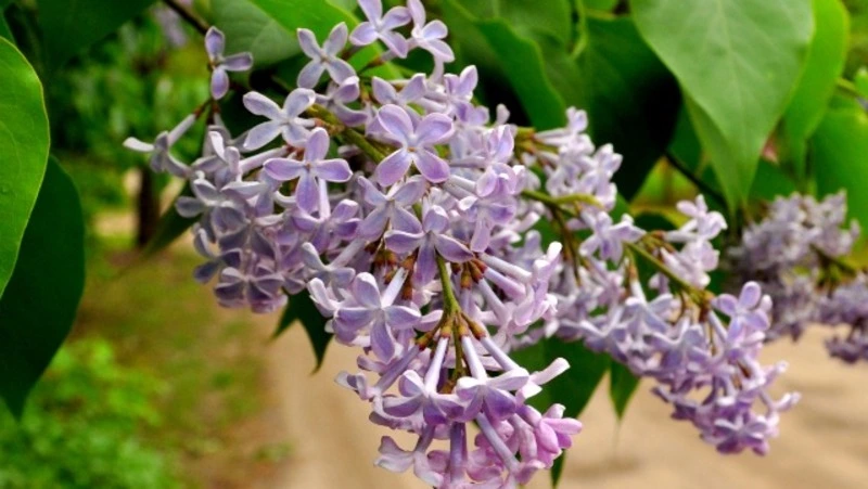 Народные приметы на 28 мая: что нельзя делать в этот день