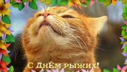 Красивые и прикольные картинки на День рыжих 2024