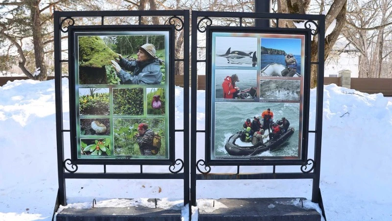 Выставочный проект о заповеднике «Курильский» в центральном парке Южно-Сахалинска