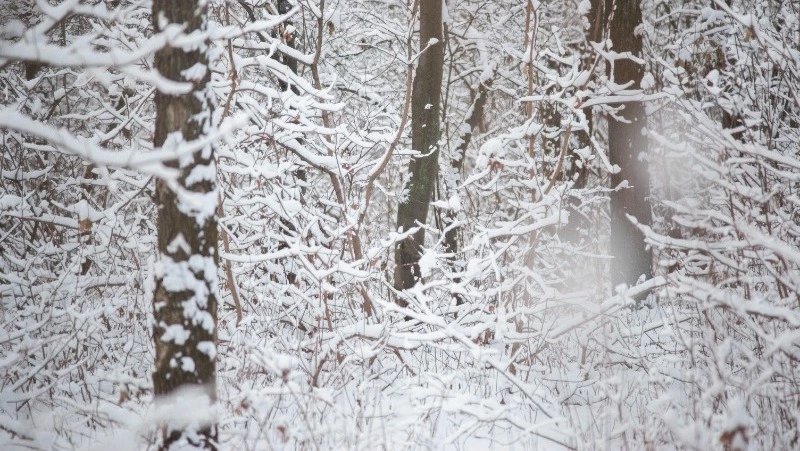Снег и усиление морозов: прогноз погоды в Сахалинской области на 3 марта