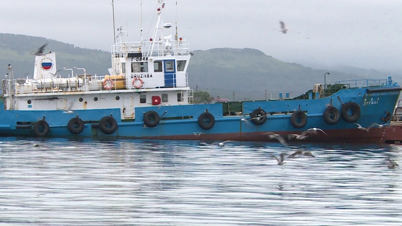 В Южно-Курильске будут производить рыбную муку и рыбий жир на тайском оборудовании