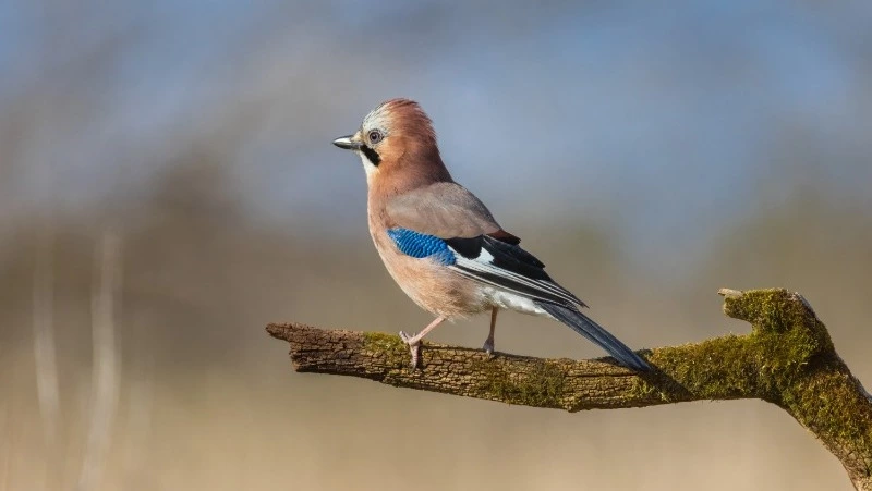 Народные приметы на 11 декабря 2024: что нельзя делать в этот день