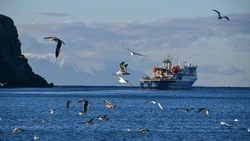 Новая энергия Курил: на Шикотане строят современную газодизельную электростанцию