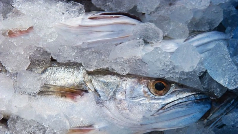 Свежая рыба