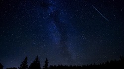 Что вас ждет 24 февраля 2025 года? Гороскоп для всех знаков зодиака