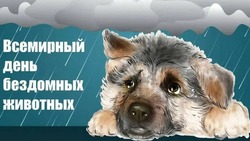 Милые и трогательные картинки на Всемирный день бездомных животных 2024