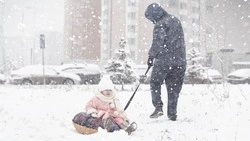 Прогноз погоды в Сахалинской области на 1 марта: снег и местами порывистый ветер