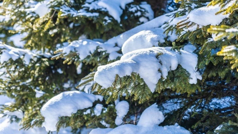 Народные приметы на 31 января: что нельзя делать в этот день