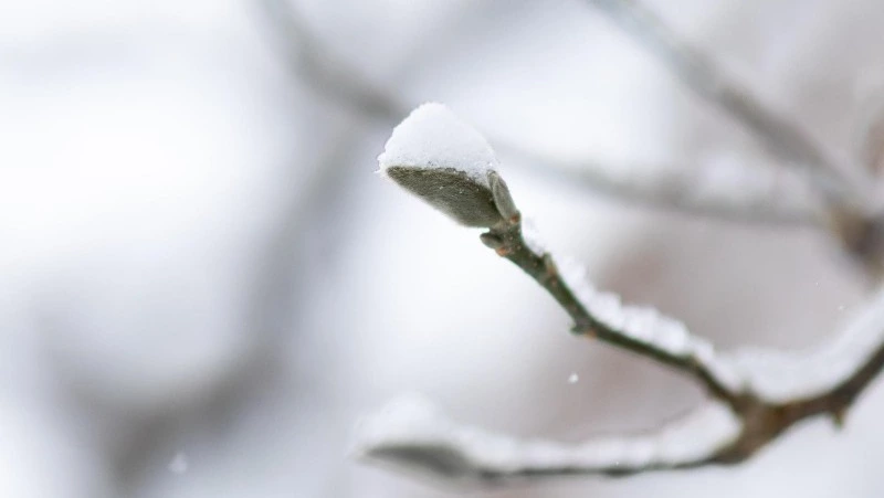 Церковный праздник 22 января 2025: что нельзя делать в Филиппов день