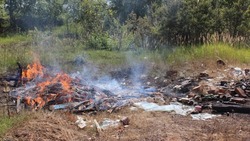 Пожарные ликвидировали возгорание в Южно-Курильском районе