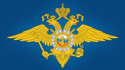 Справка об итогах оперативно-служебной деятельности ОМВД по Южно-Курильскому району