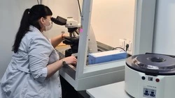 24 жительницы Сахалинской области получили шанс стать мамами с помощью новой меры поддержки