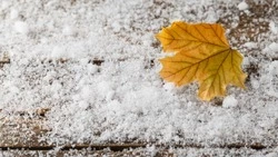 Снег, дождь и порывистый ветер ожидаются в Сахалинской области 6 ноября