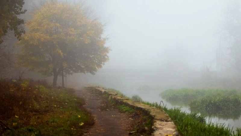 Местами дождь и юго-восточный ветер: прогноз погоды в Сахалинской области на 30 августа