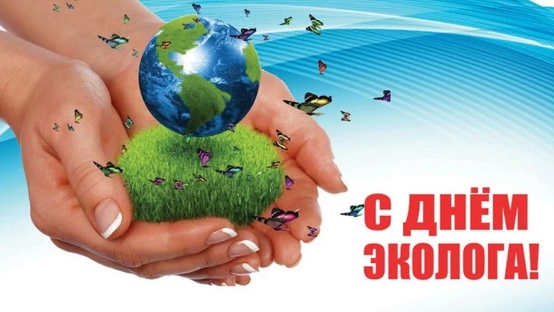 С Днем эколога: красивые картинки и открытки