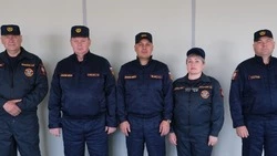 Пожарная служба отмечает профессиональный праздник