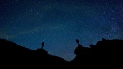 Гороскоп на 8 сентября 2024 года: важные рекомендации астрологов