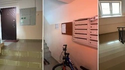 Голосование за лучший подъезд 