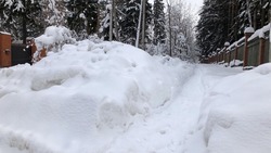 Умеренный снег и до -27 градусов: погода на Сахалине и Курилах 16 января