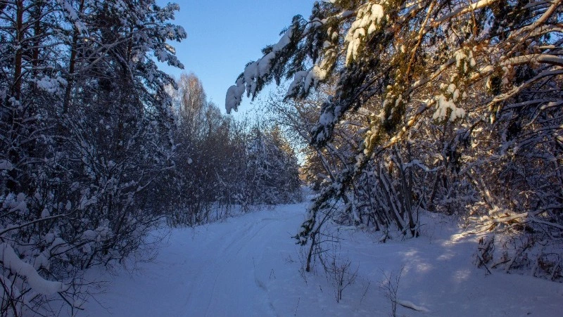 Народные приметы на 13 января: что нельзя делать в этот день