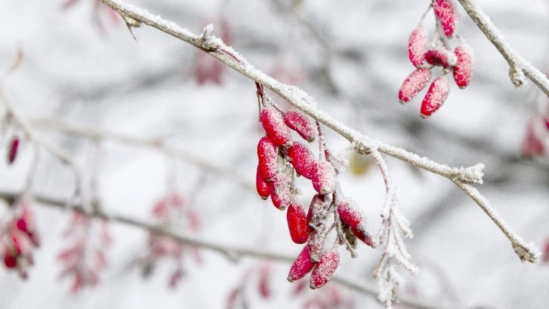 Церковный праздник 17 февраля 2024 года: что категорически нельзя делать в этот день