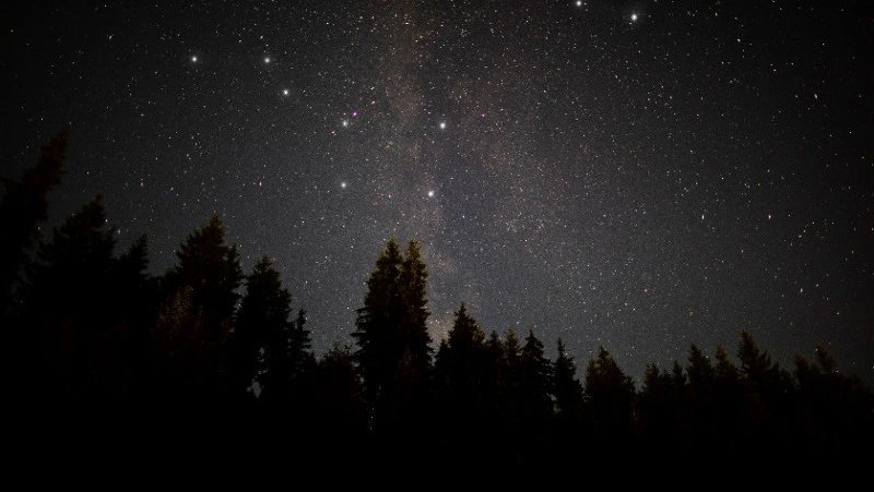 Гороскоп на 24 марта 2024 года: важные рекомендации астрологов