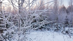 Прогноз погоды в Сахалинской области на 13 декабря: снег и 20-градусные морозы