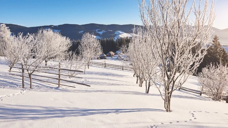Церковный праздник 13 февраля 2024 года: что категорически нельзя делать в этот день