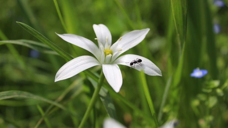 Проклов день: что можно и нельзя делать 4 мая 2024 года