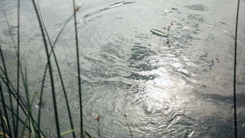 Народные приметы на 23 марта 2024: что можно и нельзя делать в этот день