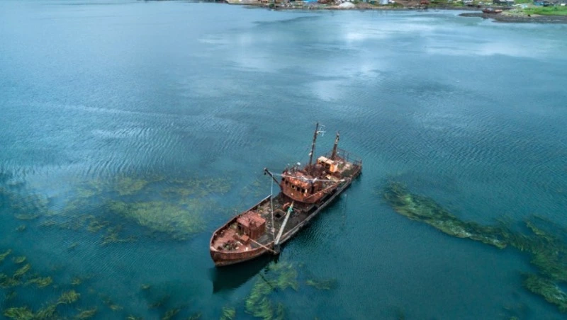 Экологическая реабилитация морской акватории Сахалина и Курильских островов