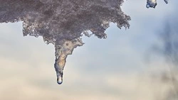 Сильный мороз ночью и до +3 градусов днем: погода в Сахалинской области 28 февраля