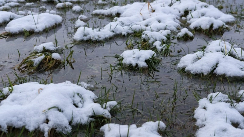 Народные приметы на 27 марта 2024: что можно и нельзя делать в этот день