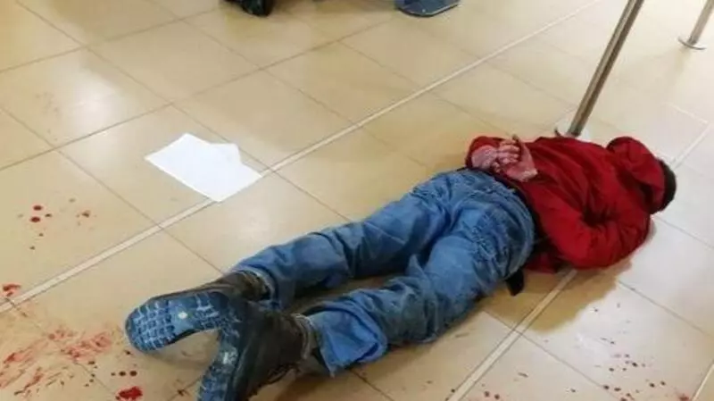 Стали известны подробности нападения на мэрию Южно-Сахалинска (Обновлено)